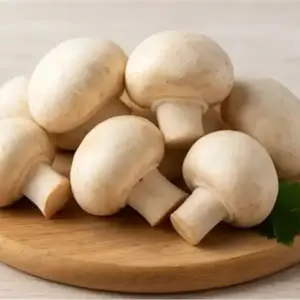 Button mushroom